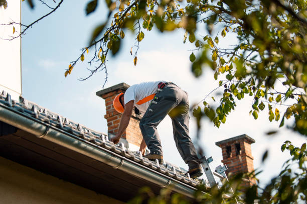 Best Storm Damage Roof Repair  in Elmore, AL