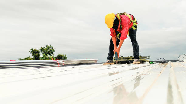 Skylights in Elmore, AL